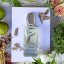francouzsky damsky parfem plume Murmure lifestyle 72 plume paris parfemova voda min