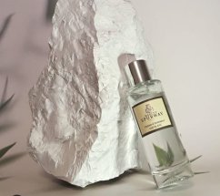 the blanc ambiance the blanc ambiance