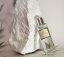 the blanc ambiance