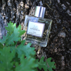 um monde parfum