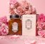 peelong rose