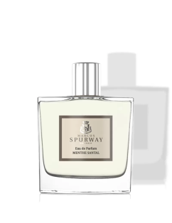 eau de parfum homme 100ml menthe santal