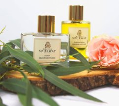 pivoine sauvage pivoine sauvage