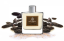 tonka cescure marcu homme