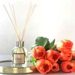 PI bouquet de tulipes