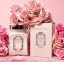 baume rose